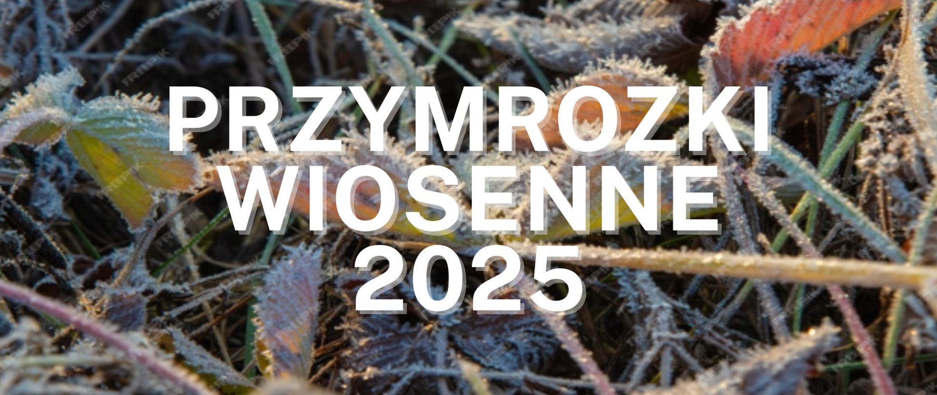 PRZYMROZKI