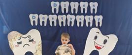 Na zdjęciu widać chłopca z grupy Delfinki, chłopczyk stoi na tle z napisem dzień dentysty oraz z rysunkiem dużego zdrowego i chorego ząbka. w rączkach trzyma filcową szczoteczkę oraz pastę. Pokazuje prawidłową technikę szczotkowania 