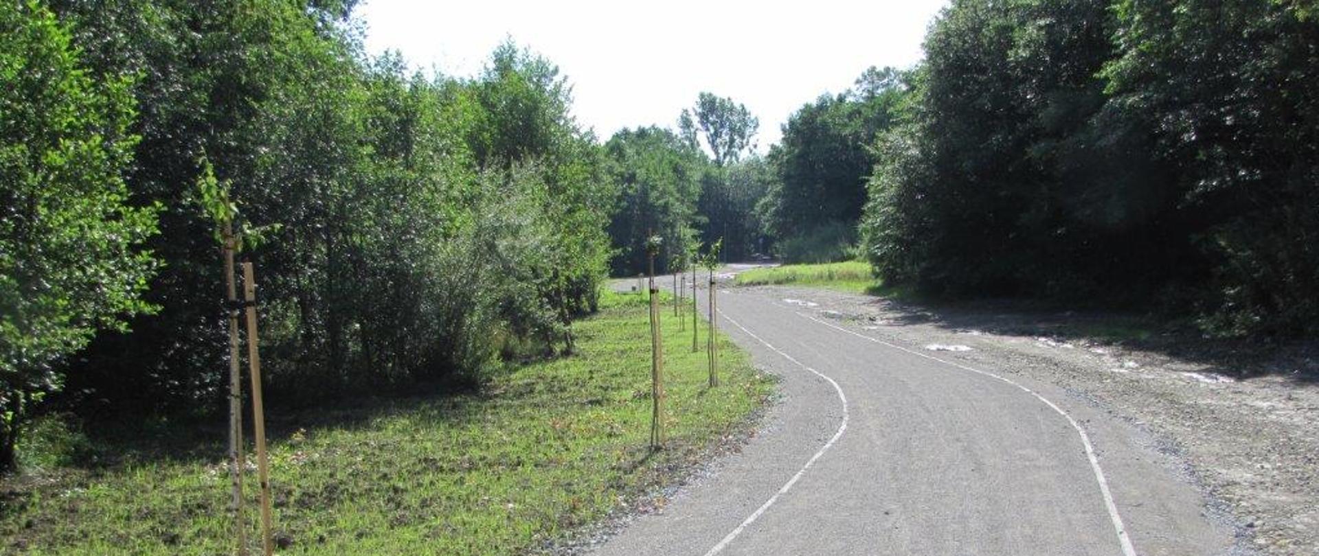 Zdjęcie ścieżki dydaktycznej po zakończeniu realizacji projektu. Na środku zdjęcia widoczna jest ścieżka, po lewej i prawej strony ścieżki widoczne są drzewa i pobocze.