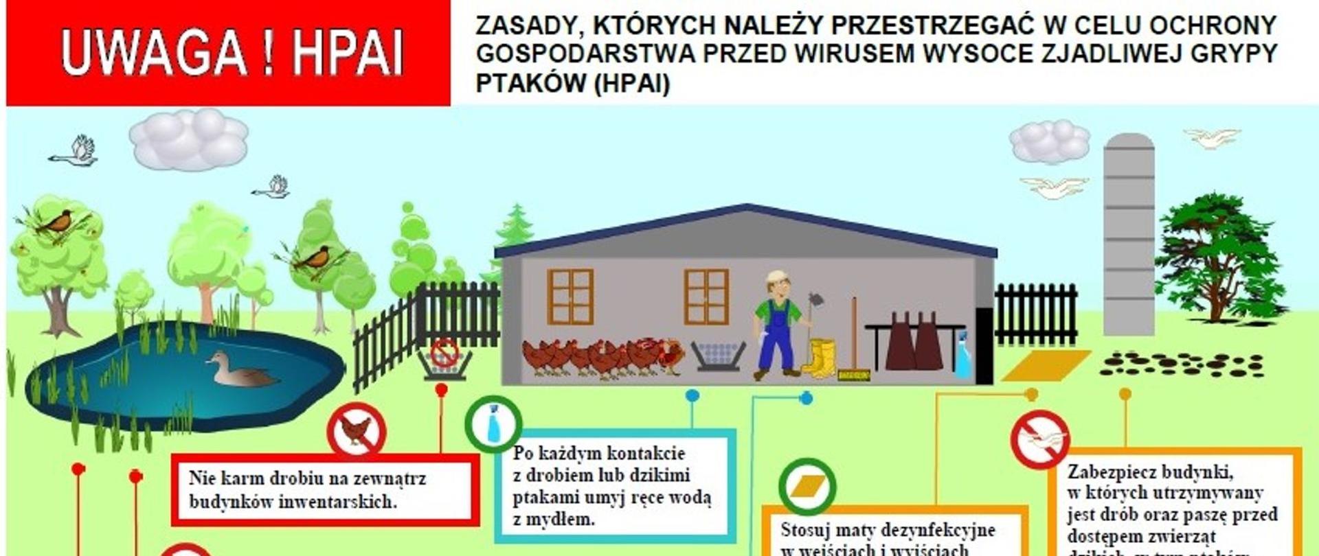 grypa ptasia