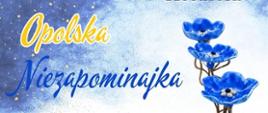Opolska Niezapominajka 